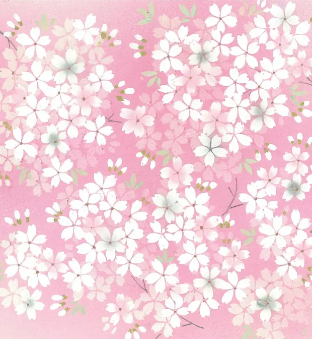 鮮やかなピンク色の背景に、満開に咲き誇る白い桜の花々と可憐な蕾が画面いっぱいにリズミカルに散りばめられた、華やかで春爛漫な雰囲気の宇野千代デザインの着物柄テキスタイル